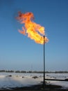 Gas flare. Royalty Free Stock Photo