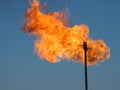 Gas flare. Royalty Free Stock Photo