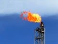 Fire on a stack of flare at oil and gas central processing platform. A gas flare at an oil refinery. Royalty Free Stock Photo