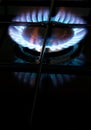 Gas hob - cook with blue flame Royalty Free Stock Photo
