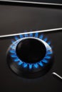 Gas hob cooker Royalty Free Stock Photo