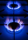 Gas Hob and flames Royalty Free Stock Photo