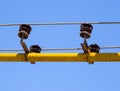 Gas main pipe used as an electrical support Royalty Free Stock Photo