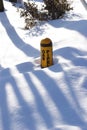 Gas pipeline marker buried in snow.