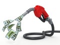 Gas pump nozzle and dollar on white background Royalty Free Stock Photo