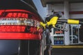 The gas station gun is inserted into the gas tank for refueling. Close-up view Royalty Free Stock Photo