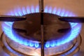 Gas stove