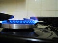 A gas stove burner with blue flames Royalty Free Stock Photo