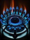 Gas stove burner with blue flames. Royalty Free Stock Photo