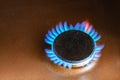 Gas stove burner with blue natural gas flames Royalty Free Stock Photo