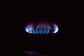 Gas stove burning in the kitchen, blue flames black background Royalty Free Stock Photo