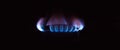 Gas stove burning in the kitchen, blue flames black background Royalty Free Stock Photo