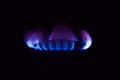 Gas stove burning in the kitchen, blue flames black background Royalty Free Stock Photo