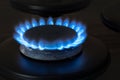 Gas stove burns with blue flame, gas burner in the kitchen, utilities concept