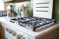 gas stove top with removable grates off for cleaning