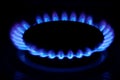 Gas is used in homes for heating and as fuel for cars. Gas is formed in the bowels of the Earth by decomposition of organic