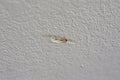 A gash in a textured greige gray beige wall in the interior of a new construction house