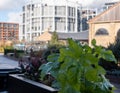 Gasholders building, Kings Cross, London UK, converted into upmarket apartments. Photographed from Bagley Walk.