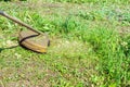 Gasoline lawn trimmer mows juicy green grass on a lawn. Garden equipment Royalty Free Stock Photo