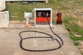 Gasoline nozzle and hose