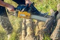 Gasoline powered professional chainsaw Royalty Free Stock Photo