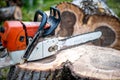 Gasoline powered professional chainsaw on pile of cut wood Royalty Free Stock Photo