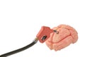 Gasoline pump inserted in the brain.3D illustration.