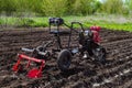 Gasoline walk-behind tractor bury potatoes in soil on potato plantation Royalty Free Stock Photo