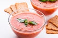 Gaspacho Royalty Free Stock Photo