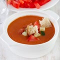 Gaspacho in white bowl Royalty Free Stock Photo