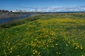 Port view at Les Mechins in Gaspesia Royalty Free Stock Photo