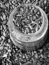 A gass jar full of sunflower seeds stands on top of more sunflower seeds