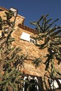 Gassin's stone house with cactus Royalty Free Stock Photo