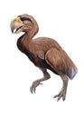 Gastornis