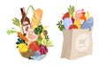 Gastranomic flat illustration. Purchased food in a net and paper bag. Various vegetables and fruits gathered together. Eco healthy Royalty Free Stock Photo
