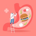 Gastroenterology Concept. Doctor Character Stand on Ladder at Huge Stomach. Patient at Appointment