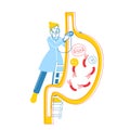 Gastroenterology Concept. Female Doctor Character Stand on Ladder with Stethoscope at Huge Stomach