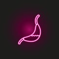 Gastroenterology neon style icon. Simple thin line, outline of medical icons for ui and ux, website or mobile application