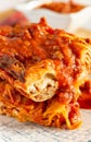 Gastronomic specialty italian baked pasta lasagna