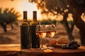 Gastronomic still life with glasses of wine on wooden table in setting sun outdoors