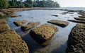 Gastropod Fossil Shell Beach Royalty Free Stock Photo