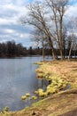 Gatchina Park Corner. Coast White Lake. Cold April.