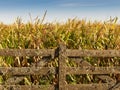 Gate of the agricultural field Royalty Free Stock Photo