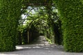 Gate of book hedges and an overgrown arch pergola as a footpath Royalty Free Stock Photo