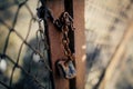 Gate closed on the lock on a rusty chain. A gate closed on the lock Royalty Free Stock Photo