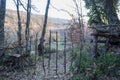 Gate closing wire and sticks to close farm in the field in autumn Royalty Free Stock Photo