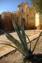 The gate of Cordoba in Carmona