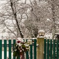 Gate covered by snow on christmas time Royalty Free Stock Photo
