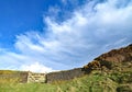 Gate and drystone wall