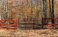 Gate Entering Woods in Fall Royalty Free Stock Photo